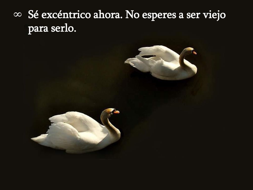 Sé excéntrico ahora. No esperes a ser viejo para serlo.