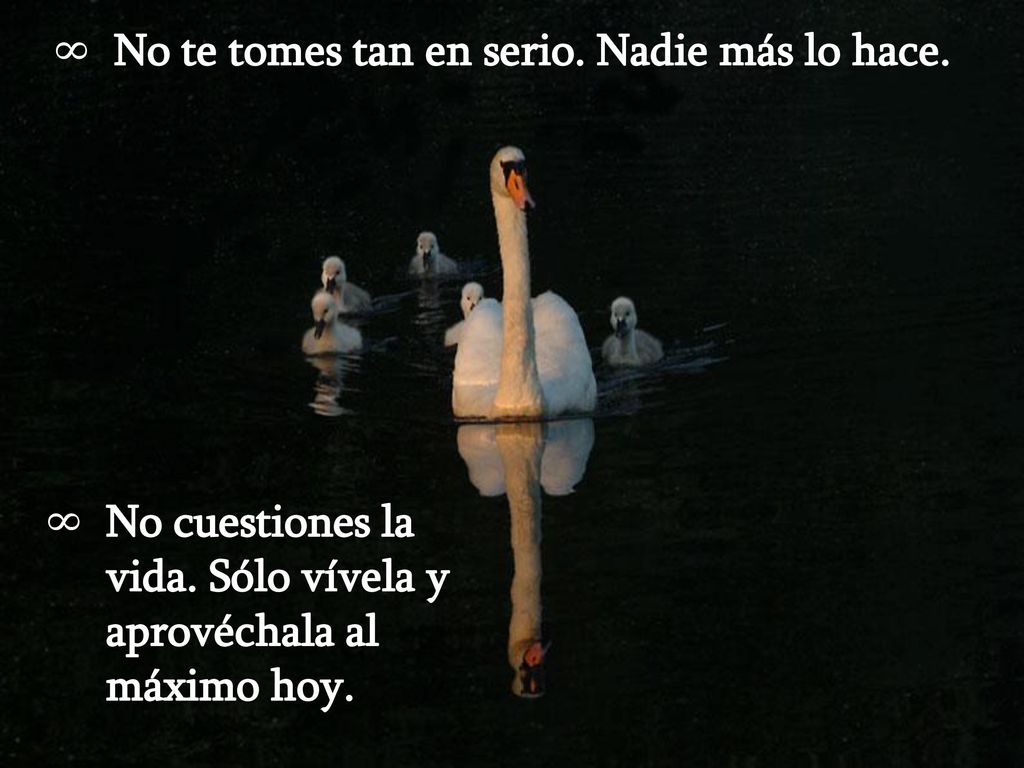 No te tomes tan en serio. Nadie más lo hace.