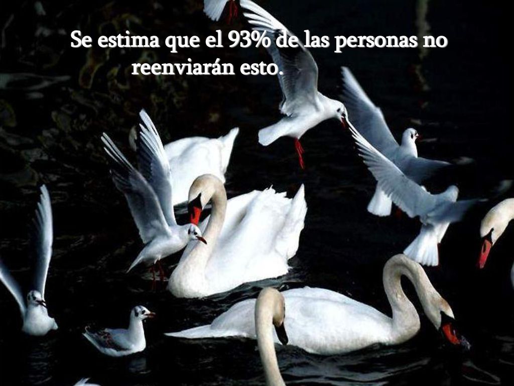 Se estima que el 93% de las personas no reenviarán esto.
