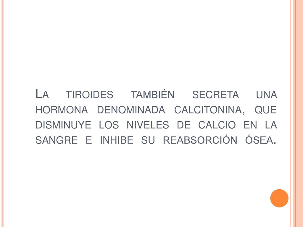 La tiroides también secreta una hormona denominada calcitonina, que disminuye los niveles de calcio en la sangre e inhibe su reabsorción ósea.