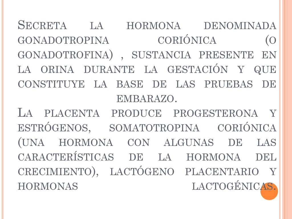 Secreta la hormona denominada gonadotropina coriónica (o gonadotrofina) , sustancia presente en la orina durante la gestación y que constituye la base de las pruebas de embarazo.