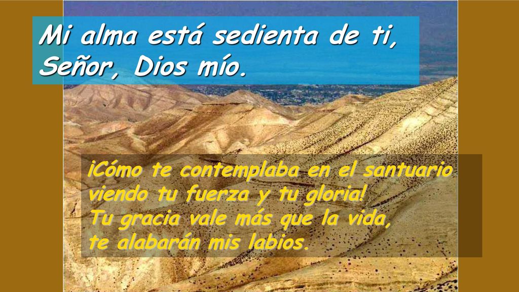 Mi alma está sedienta de ti, Señor, Dios mío.