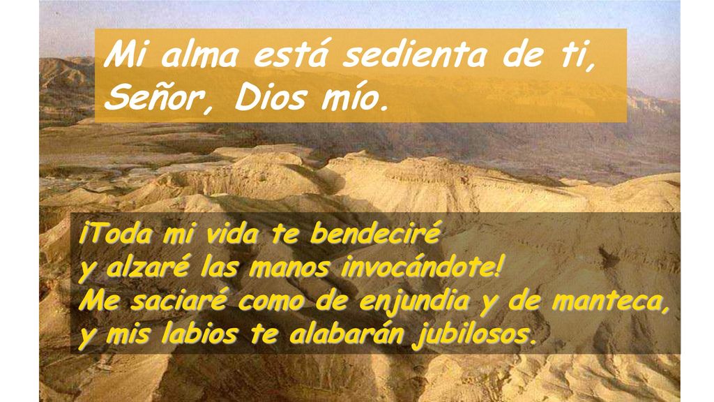 Mi alma está sedienta de ti, Señor, Dios mío.