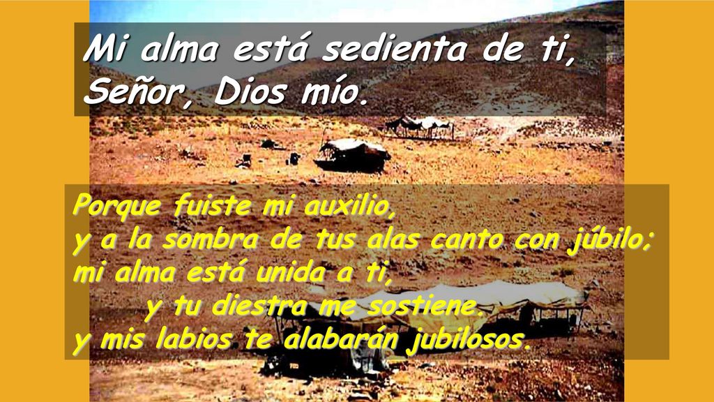 Mi alma está sedienta de ti, Señor, Dios mío.
