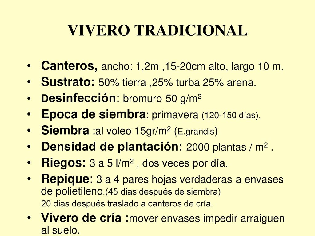 VIVERO TRADICIONAL Canteros, ancho: 1,2m ,15-20cm alto, largo 10 m.