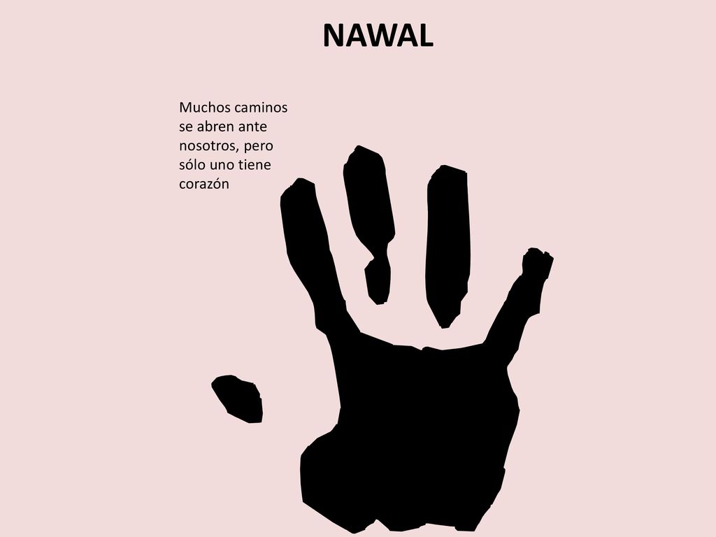 NAWAL Muchos caminos se abren ante nosotros, pero sólo uno tiene corazón