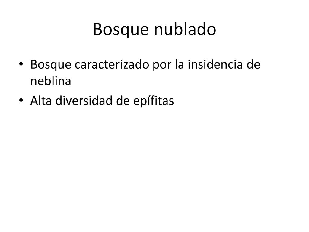 Bosque nublado Bosque caracterizado por la insidencia de neblina