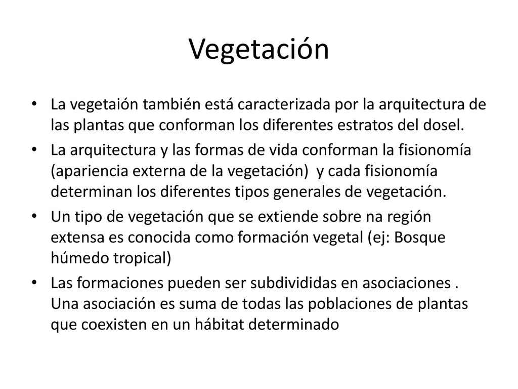 Vegetación La vegetaión también está caracterizada por la arquitectura de las plantas que conforman los diferentes estratos del dosel.