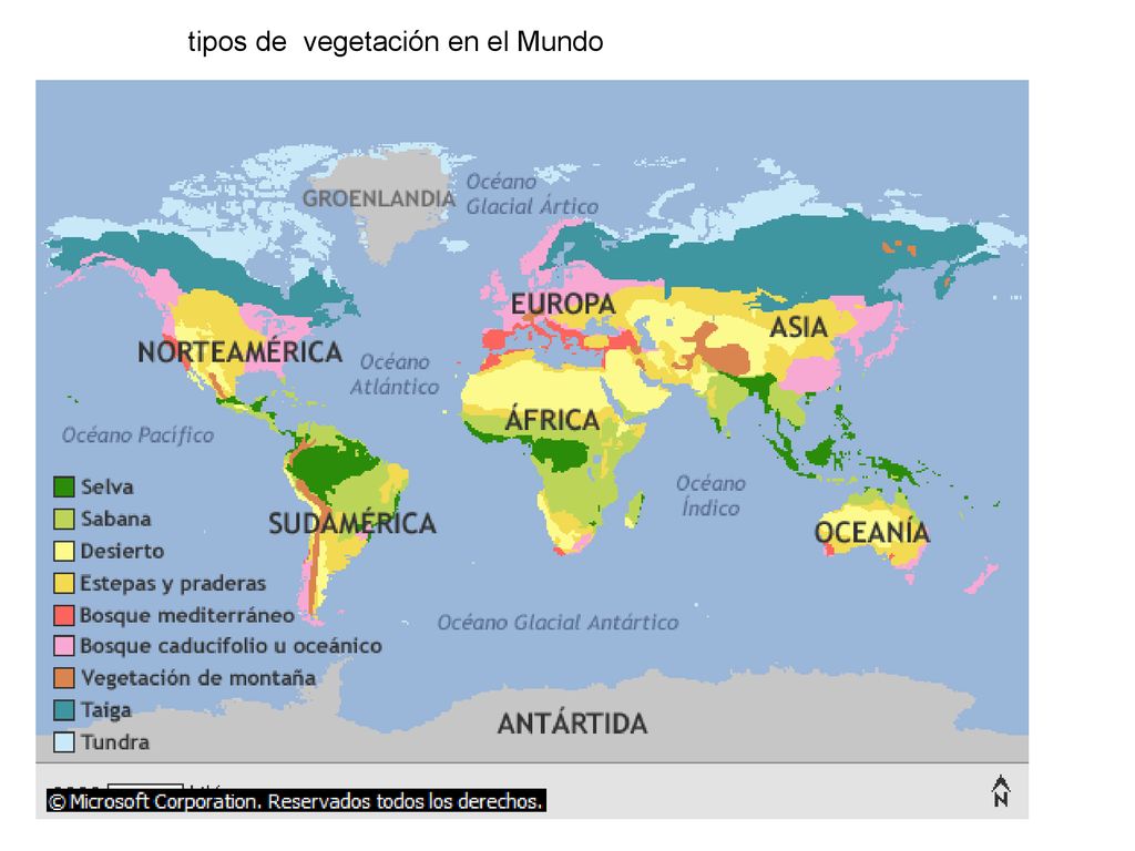 tipos de vegetación en el Mundo