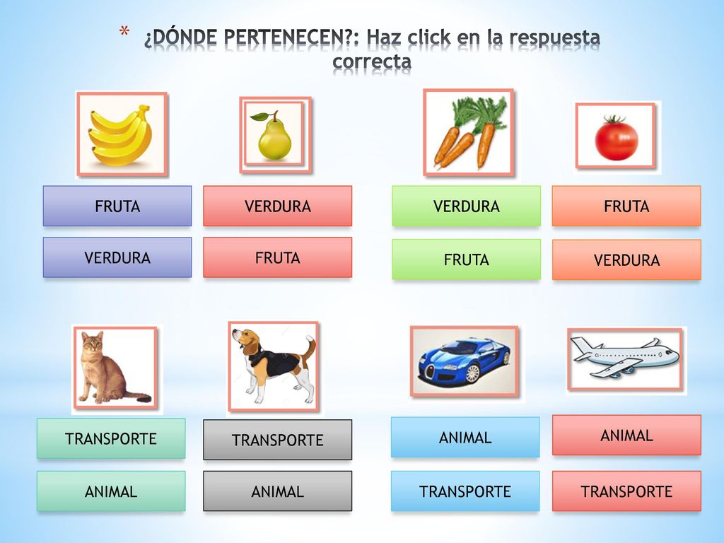 ¿DÓNDE PERTENECEN : Haz click en la respuesta correcta