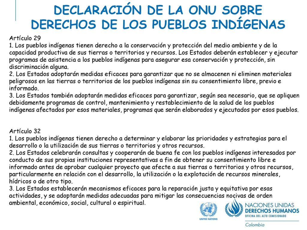 DECLARACIÓN DE LA ONU SOBRE DERECHOS DE LOS PUEBLOS INDÍGENAS