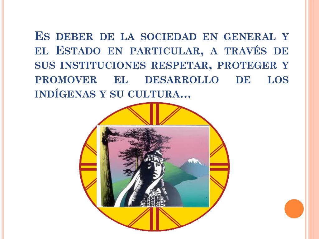 Es deber de la sociedad en general y el Estado en particular, a través de sus instituciones respetar, proteger y promover el desarrollo de los indígenas y su cultura…