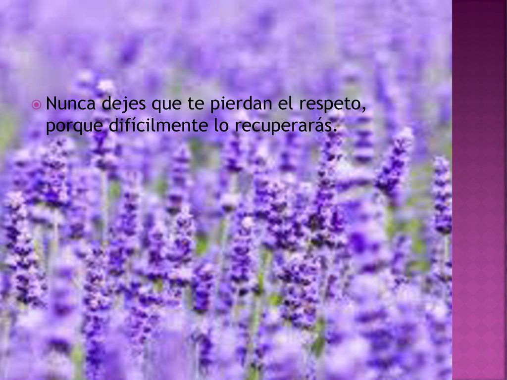 Nunca dejes que te pierdan el respeto, porque difícilmente lo recuperarás.