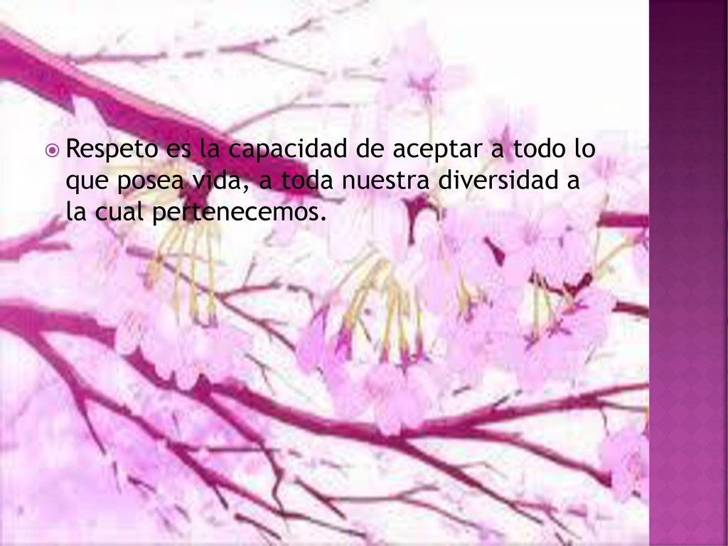 Respeto es la capacidad de aceptar a todo lo que posea vida, a toda nuestra diversidad a la cual pertenecemos.