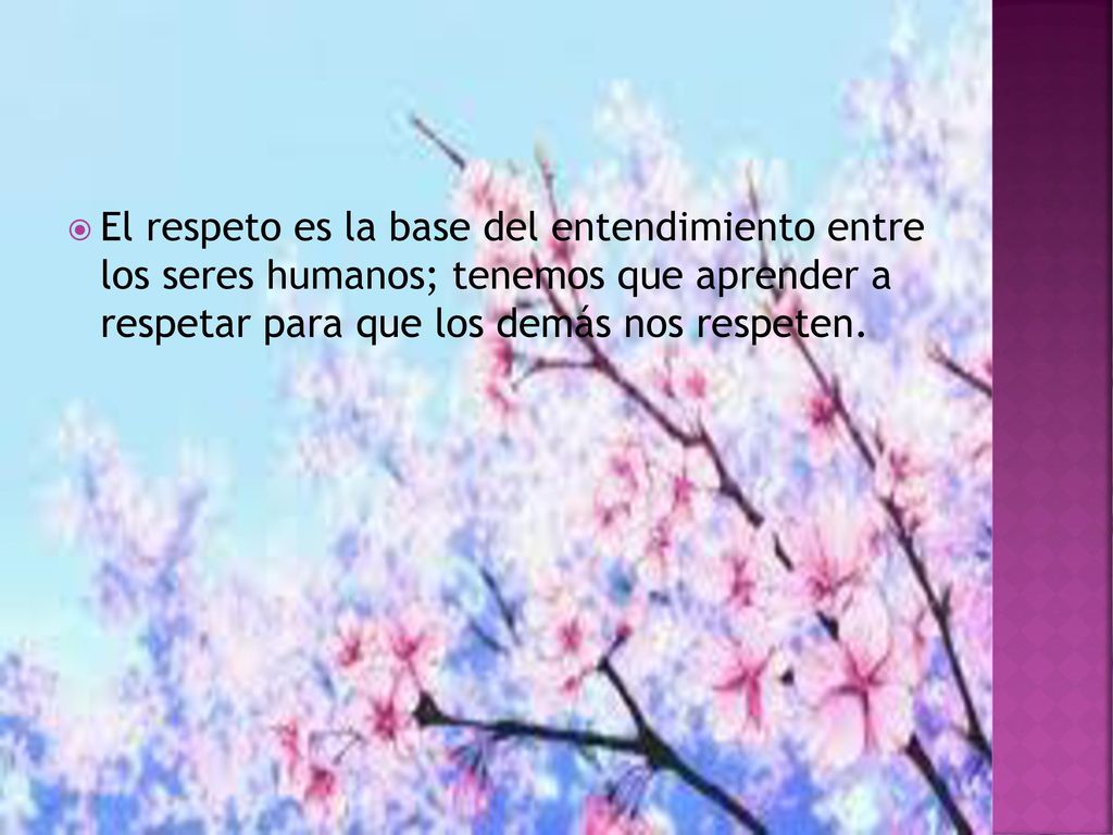 El respeto es la base del entendimiento entre los seres humanos; tenemos que aprender a respetar para que los demás nos respeten.