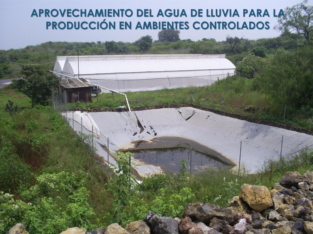 APROVECHAMIENTO DEL AGUA DE LLUVIA PARA LA PRODUCCIÓN EN AMBIENTES CONTROLADOS