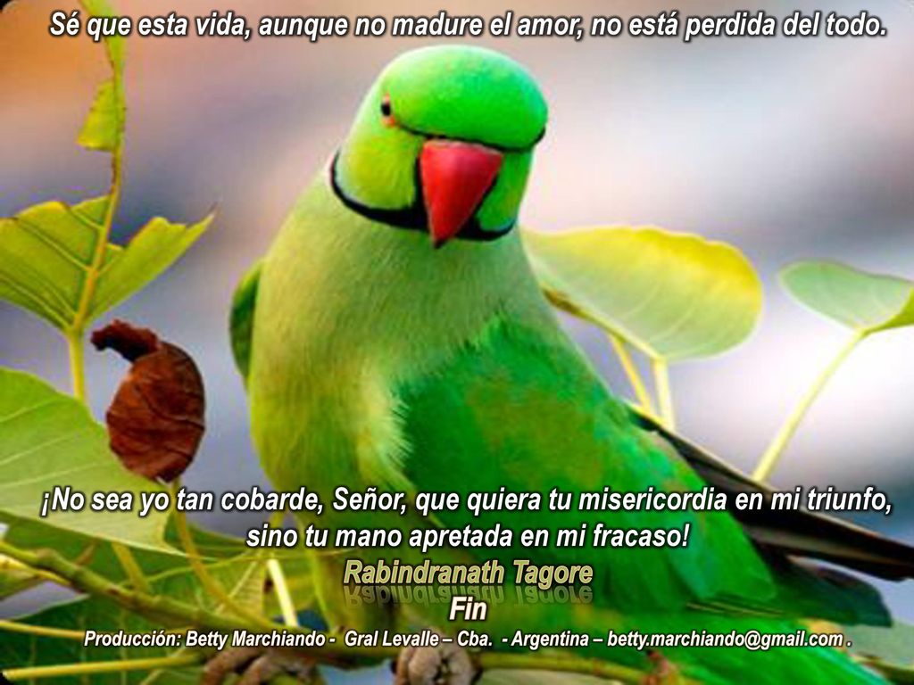 Sé que esta vida, aunque no madure el amor, no está perdida del todo.