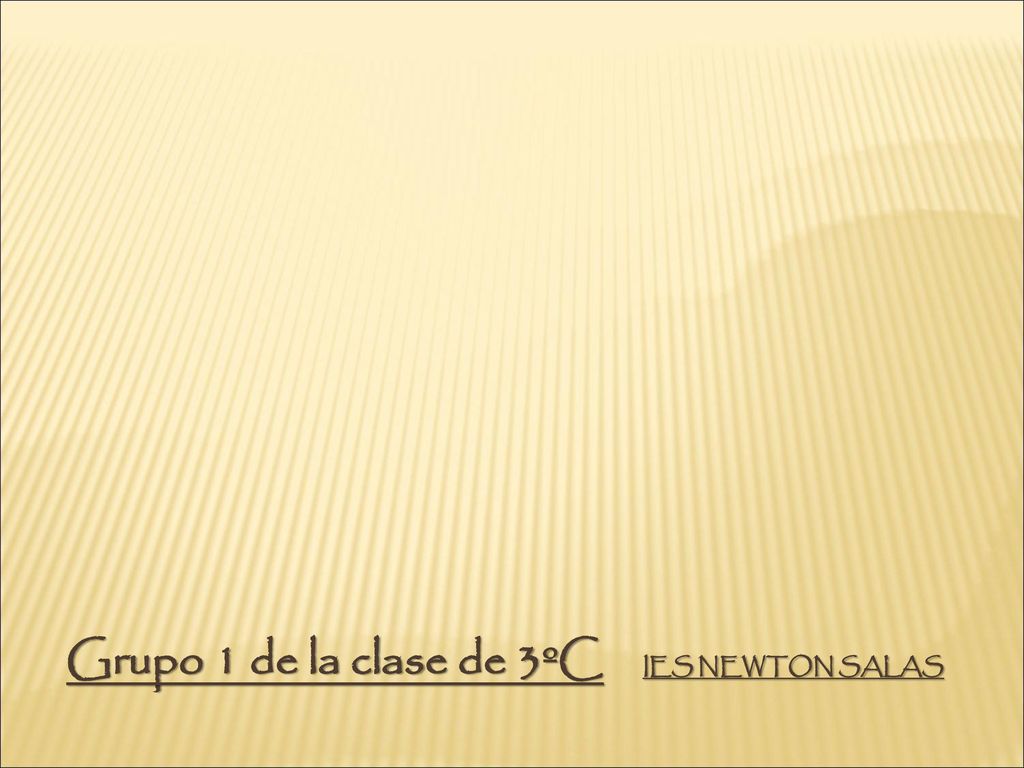 Grupo 1 de la clase de 3ºC IES NEWTON SALAS