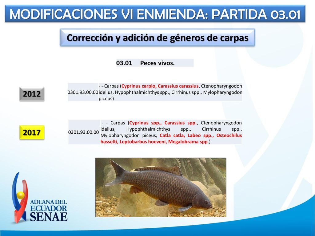 Corrección y adición de géneros de carpas