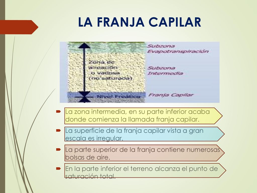 LA FRANJA CAPILAR La zona intermedia, en su parte inferior acaba donde comienza la llamada franja capilar.