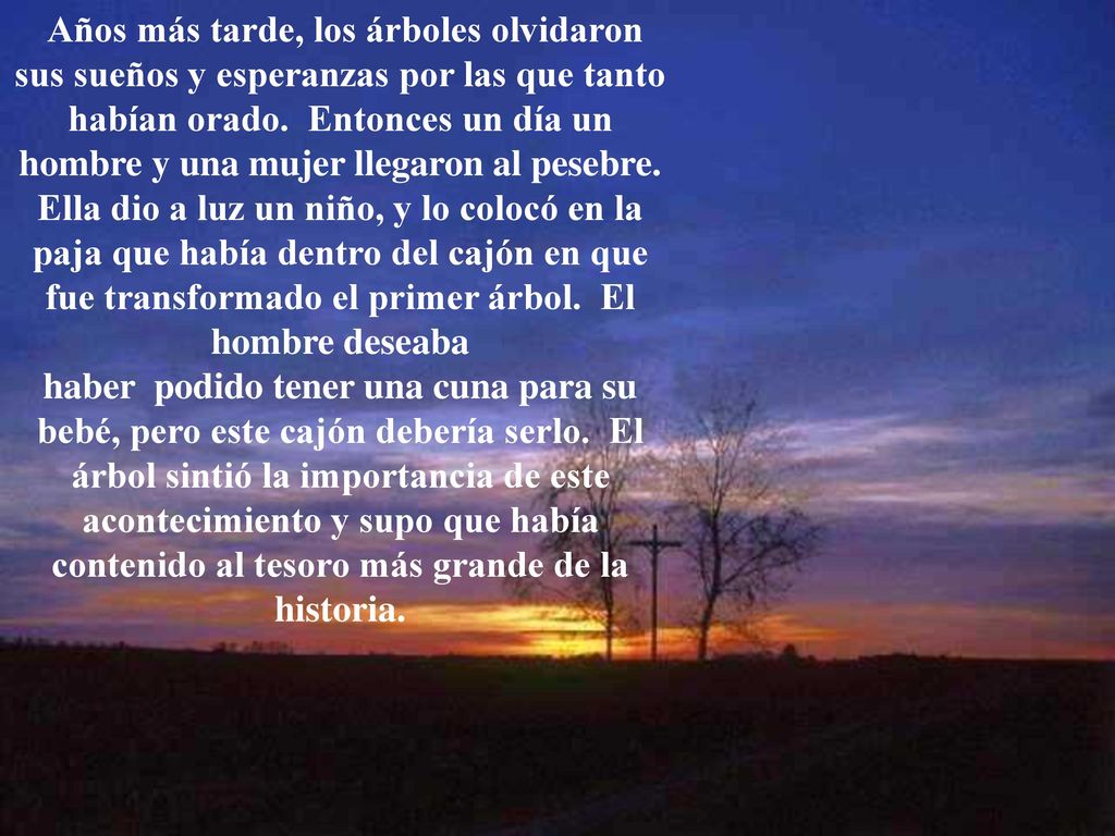 Años más tarde, los árboles olvidaron sus sueños y esperanzas por las que tanto habían orado. Entonces un día un hombre y una mujer llegaron al pesebre. Ella dio a luz un niño, y lo colocó en la paja que había dentro del cajón en que fue transformado el primer árbol. El hombre deseaba