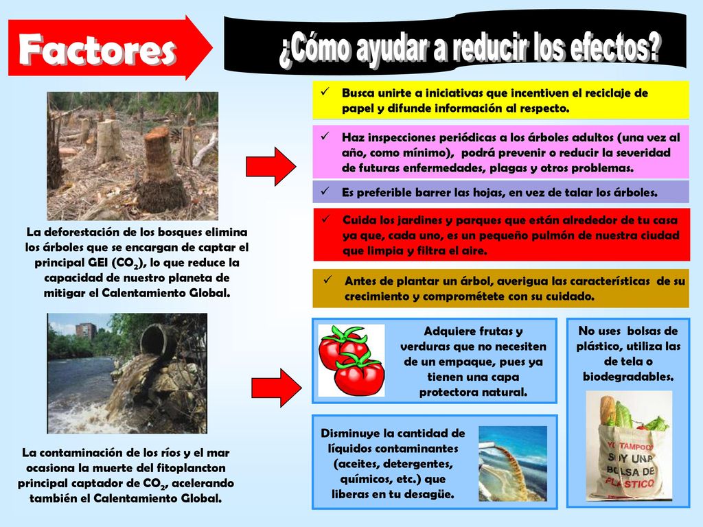 No uses bolsas de plástico, utiliza las de tela o biodegradables.