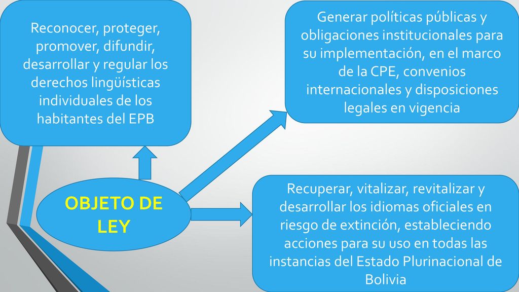 Reconocer, proteger, promover, difundir, desarrollar y regular los derechos lingüísticas individuales de los habitantes del EPB