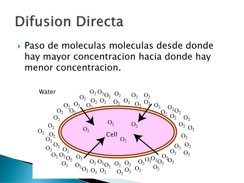 Difusion Directa Paso de moleculas moleculas desde donde hay mayor concentracion hacia donde hay menor concentracion.