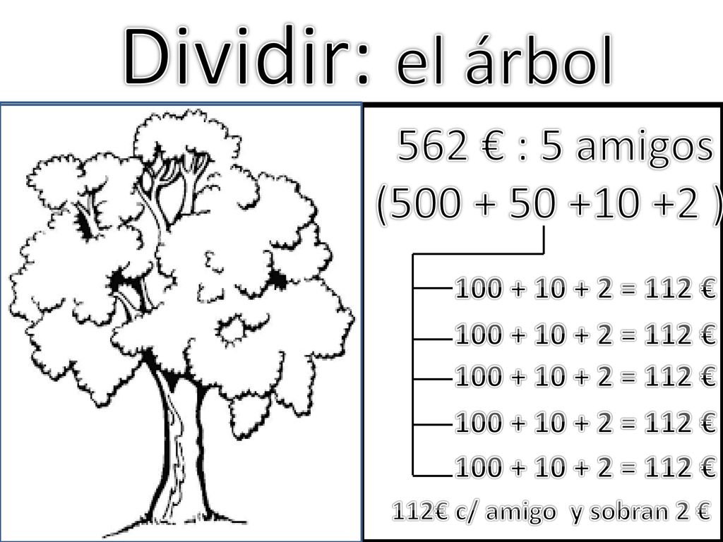 Dividir: el árbol 562 € : 5 amigos ( )