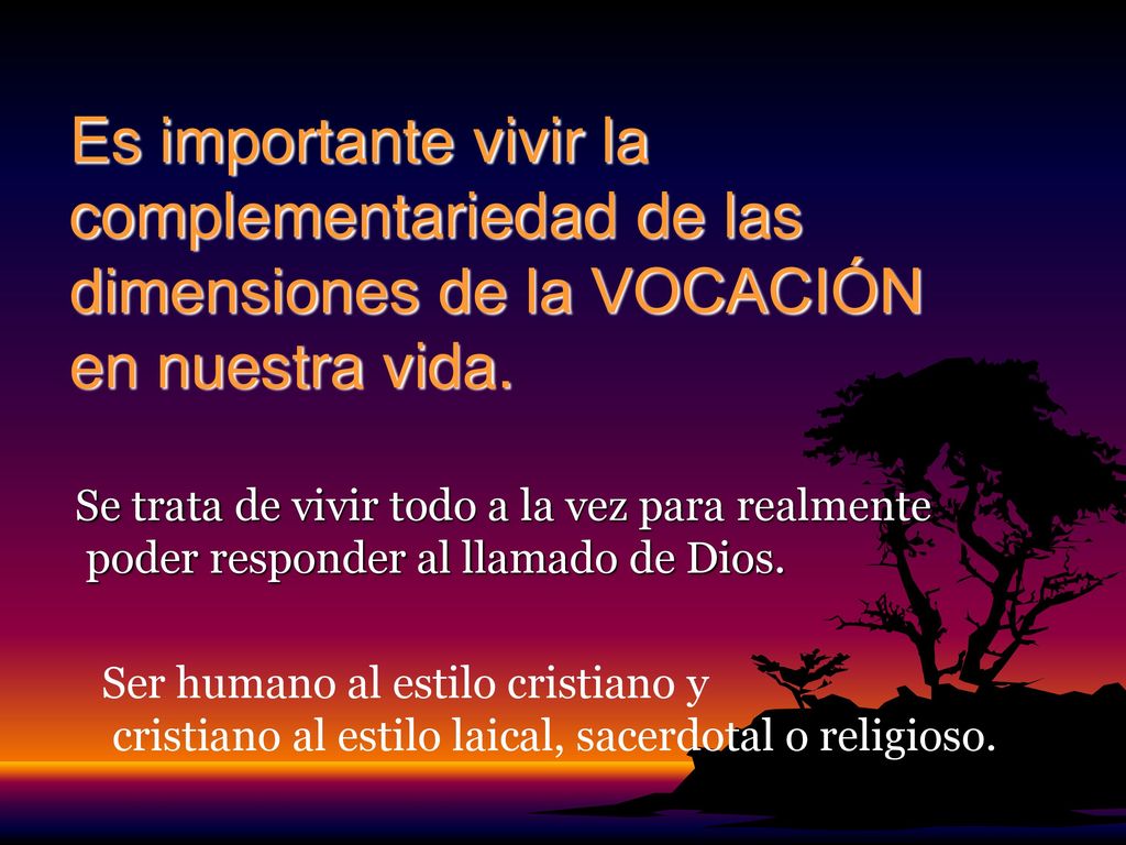 Es importante vivir la complementariedad de las dimensiones de la VOCACIÓN en nuestra vida.