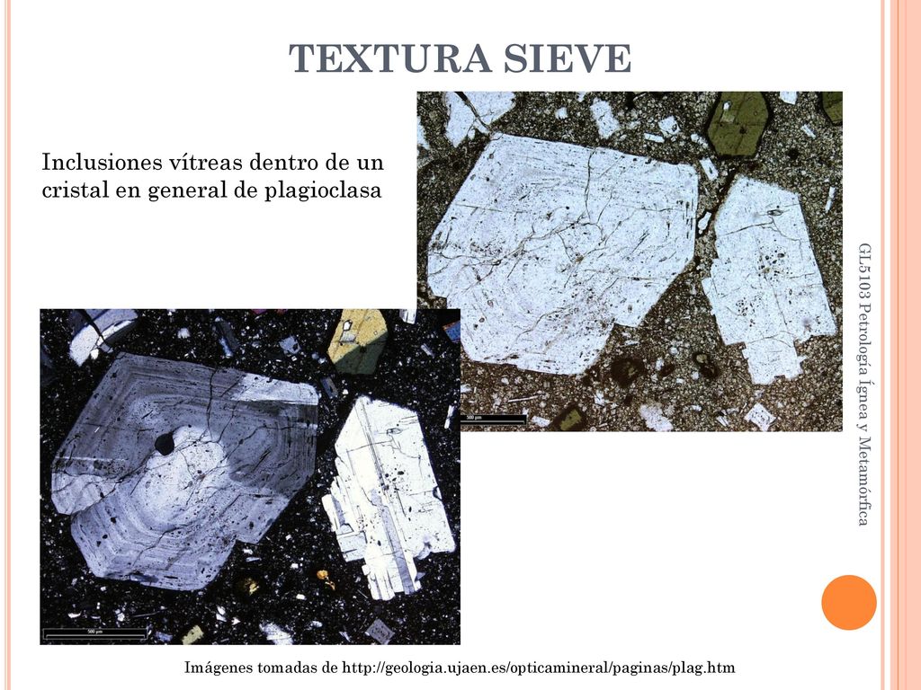 TEXTURA SIEVE Inclusiones vítreas dentro de un cristal en general de plagioclasa. GL5103 Petrología Ígnea y Metamórfica.