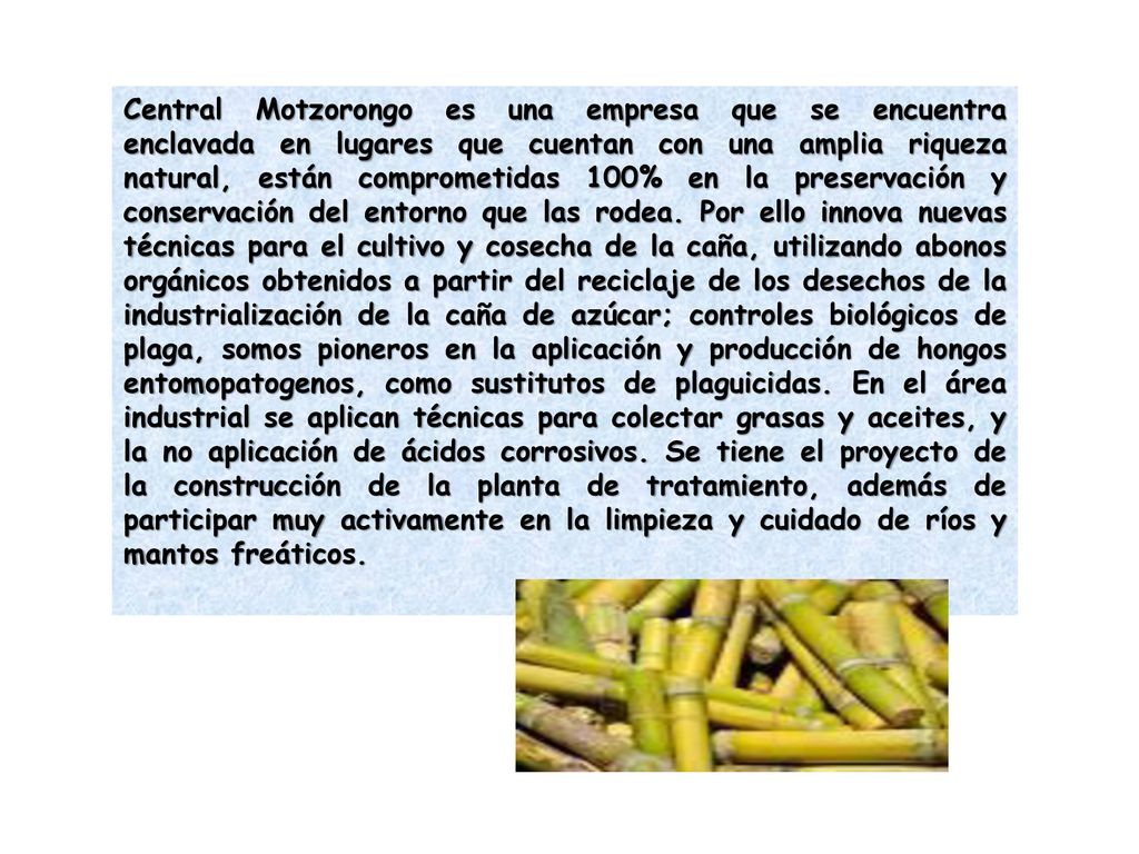 Central Motzorongo es una empresa que se encuentra enclavada en lugares que cuentan con una amplia riqueza natural, están comprometidas 100% en la preservación y conservación del entorno que las rodea.