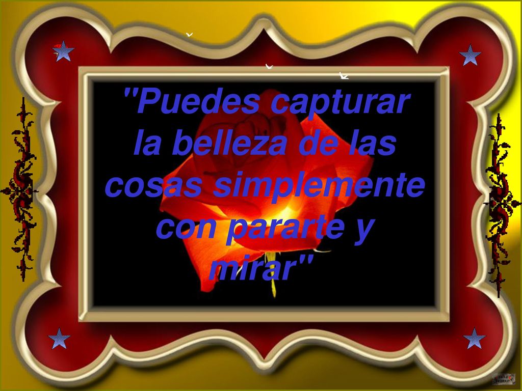 Puedes capturar la belleza de las cosas simplemente con pararte y mirar