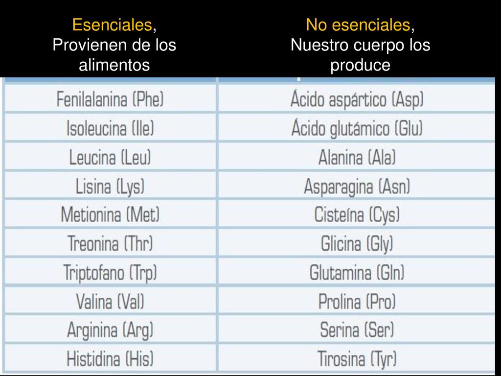Provienen de los alimentos No esenciales, Nuestro cuerpo los produce