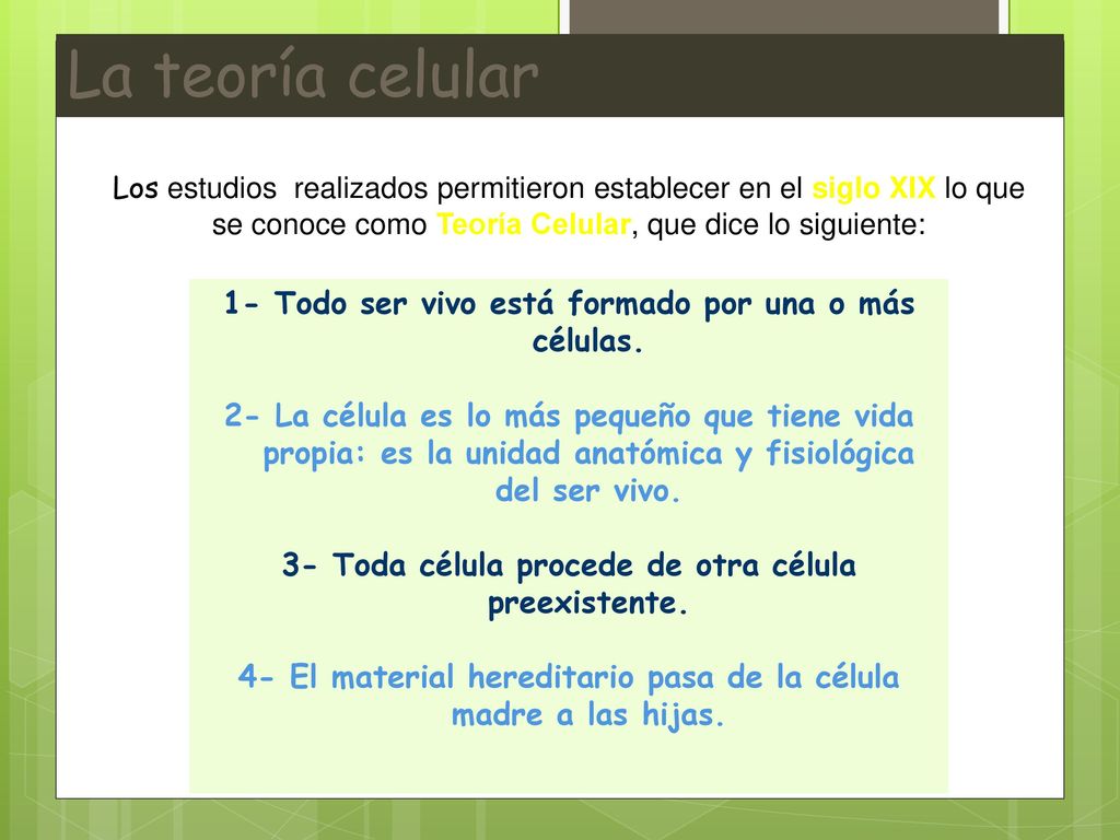 La teoría celular 1- Todo ser vivo está formado por una o más células.