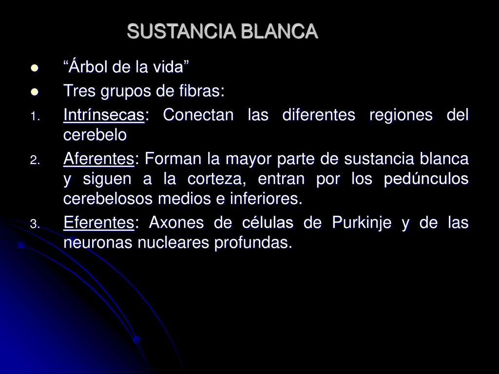 SUSTANCIA BLANCA Árbol de la vida Tres grupos de fibras: