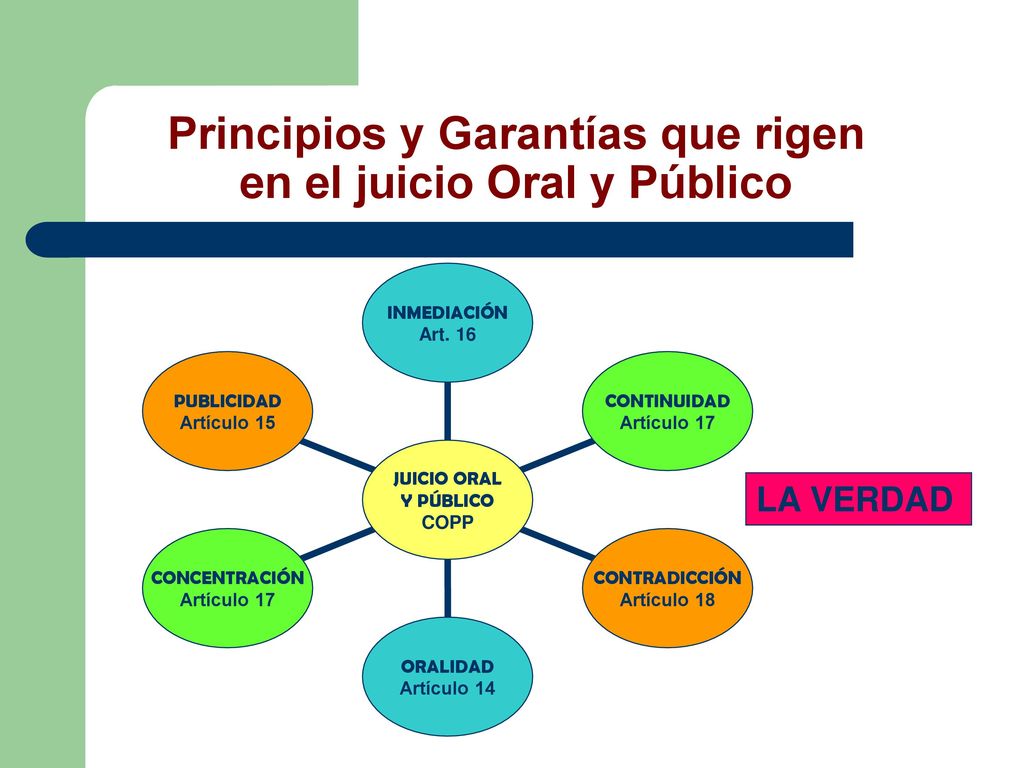 Principios y Garantías que rigen en el juicio Oral y Público