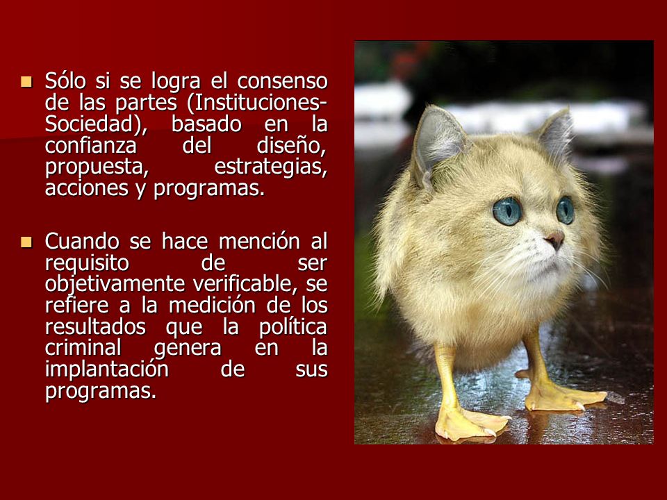 Sólo si se logra el consenso de las partes (Instituciones-Sociedad), basado en la confianza del diseño, propuesta, estrategias, acciones y programas.