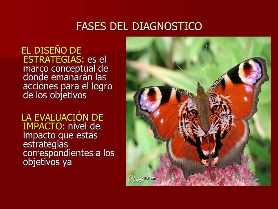 FASES DEL DIAGNOSTICO EL DISEÑO DE ESTRATEGIAS: es el marco conceptual de donde emanarán las acciones para el logro de los objetivos.