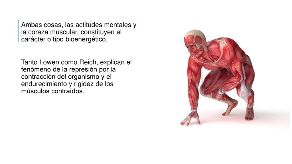 Ambas cosas, las actitudes mentales y la coraza muscular, constituyen el carácter o tipo bioenergético.