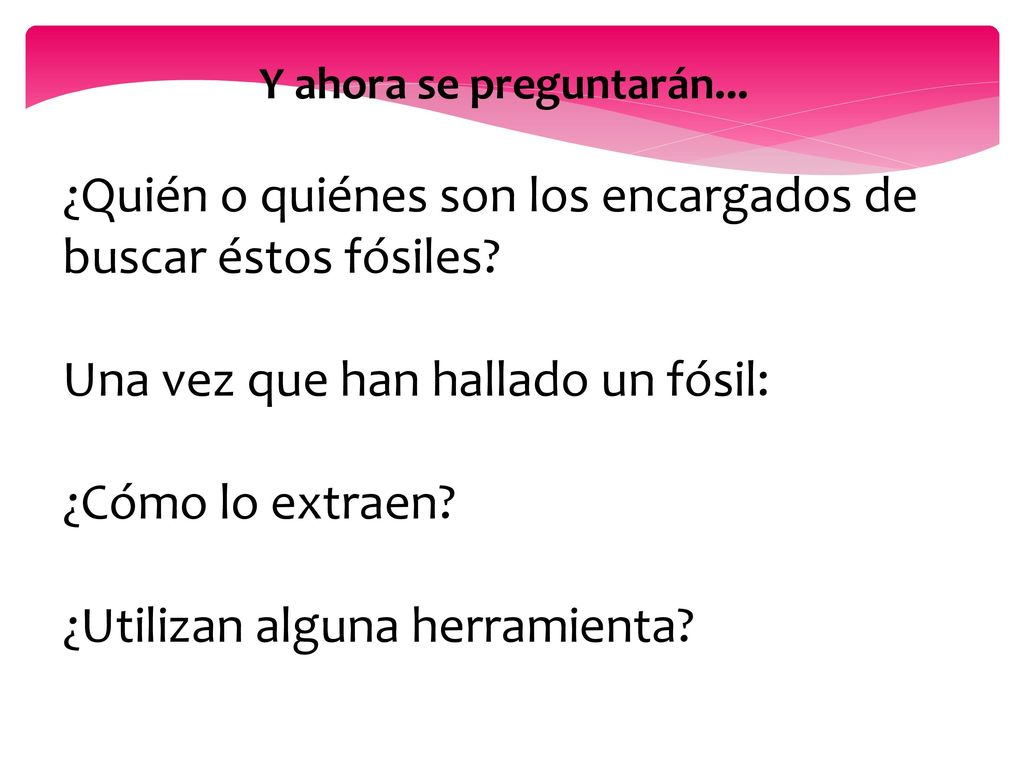 ¿Quién o quiénes son los encargados de buscar éstos fósiles