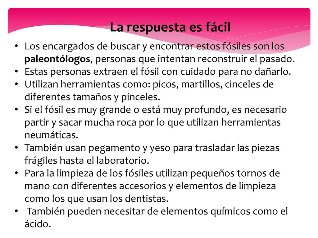 La respuesta es fácil Los encargados de buscar y encontrar estos fósiles son los paleontólogos, personas que intentan reconstruir el pasado.