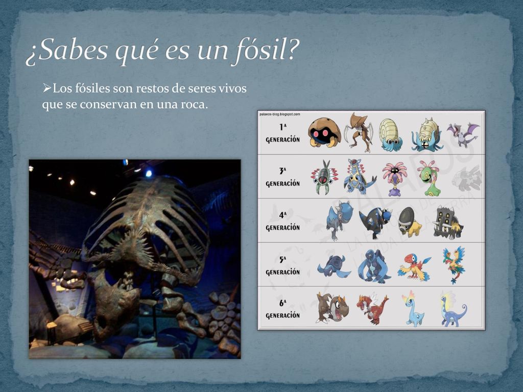 ¿Sabes qué es un fósil Los fósiles son restos de seres vivos que se conservan en una roca.