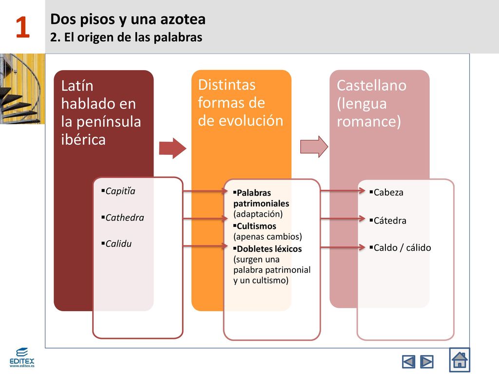 1 Dos pisos y una azotea 2. El origen de las palabras
