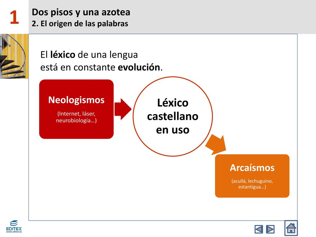 Dos pisos y una azotea 2. El origen de las palabras