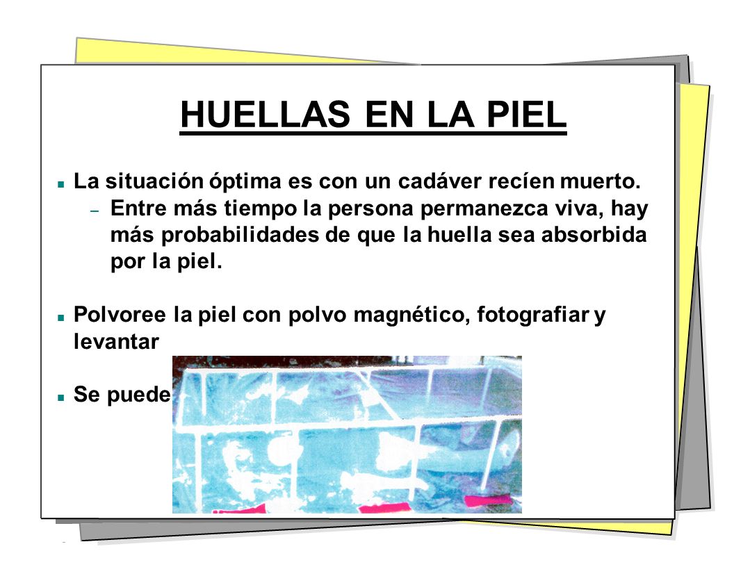 HUELLAS EN LA PIEL La situación óptima es con un cadáver recíen muerto.
