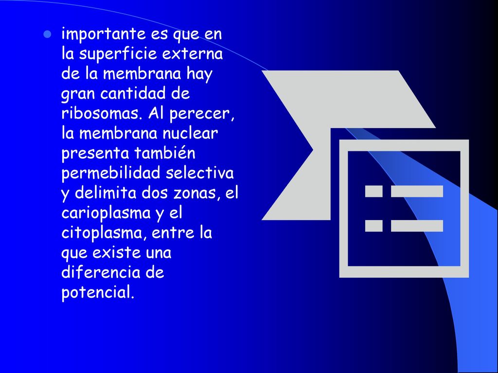 importante es que en la superficie externa de la membrana hay gran cantidad de ribosomas.