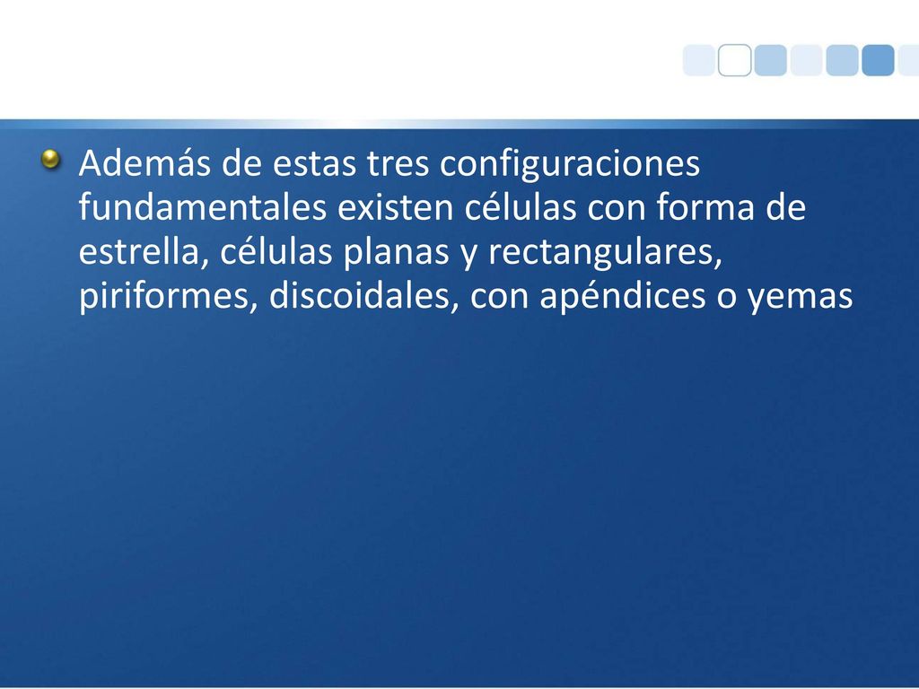Además de estas tres configuraciones fundamentales existen células con forma de estrella, células planas y rectangulares, piriformes, discoidales, con apéndices o yemas