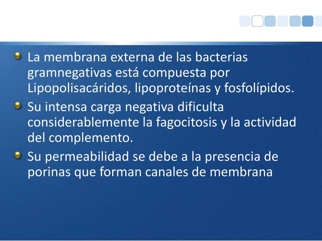 La membrana externa de las bacterias gramnegativas está compuesta por Lipopolisacáridos, lipoproteínas y fosfolípidos.