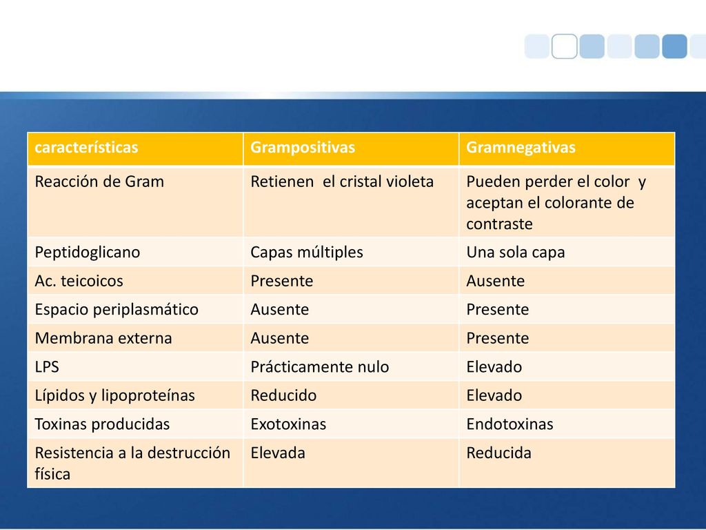 características Grampositivas. Gramnegativas. Reacción de Gram. Retienen el cristal violeta.